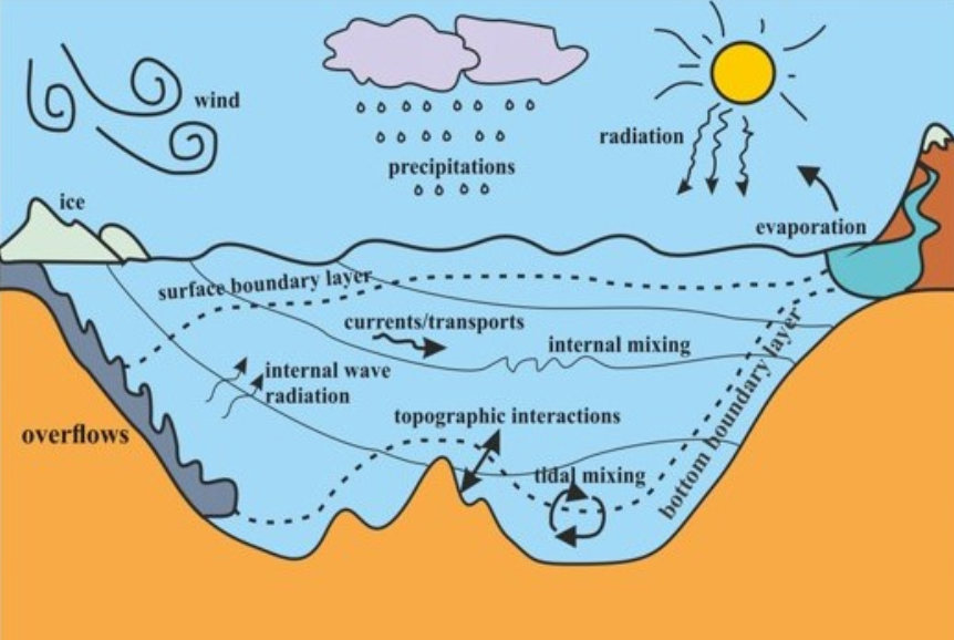 Geophysical flows